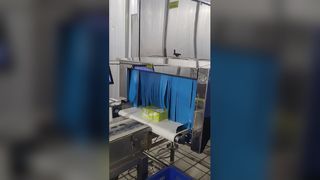 نظام فحص الأغذية الصناعية بالأشعة السينية SHANAN